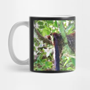 Monkey in Tree - Boquete, Panama Mug